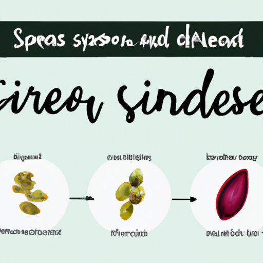 From Seed to Snack: Everything You Need to Know About Eating Grapes with Their Seeds Included