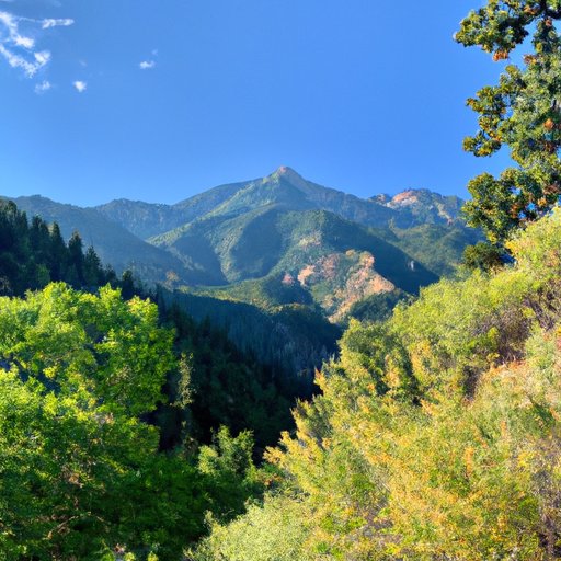 Top 5 Things to Know Before Attempting the Bells Canyon Hike