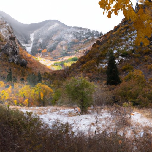 Feature on the Best Times of Year to Hike Bells Canyon