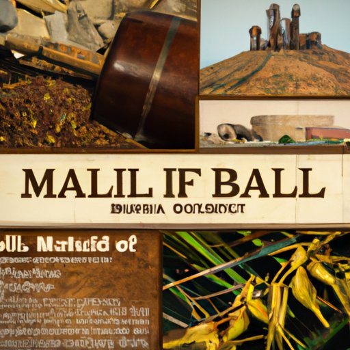 The History and Production Process of Malibu Rum