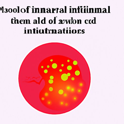 VII. Inflammation: The Hidden Culprit in Your Stubborn Belly Fat