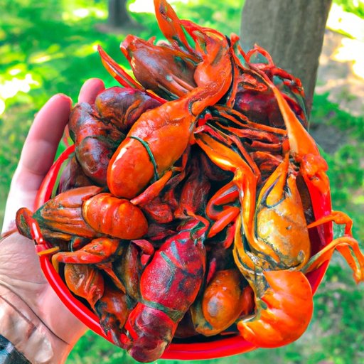 IV. Crawfish Cravings: How to Enjoy the Louisiana Delicacy Without Risking Your Pregnancy