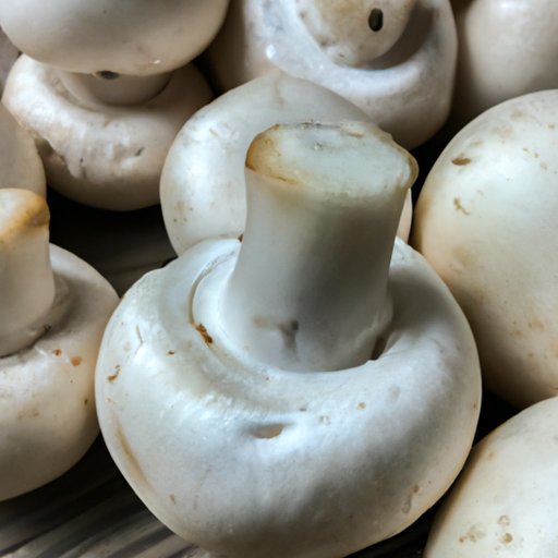 Mushrooms: A Safe and Nutritious Addition to your Pregnancy Diet