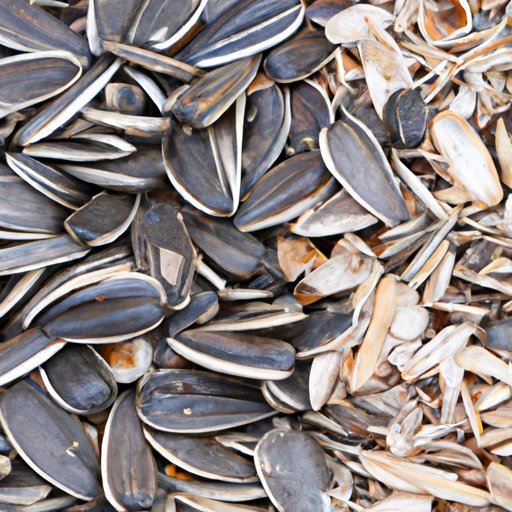 From Edible to Inedible: Understanding the Science Behind Sunflower Seed Shells