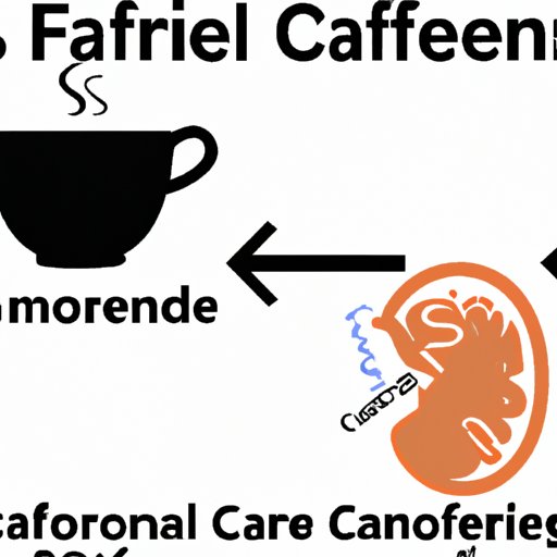 The Effects of Caffeine on Fetal Development and Pregnancy Outcomes