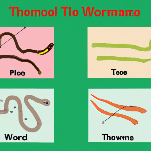 Types of Tapeworms and Where They Are Found
