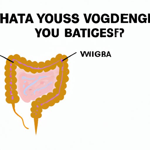 Navigating Bacterial Vaginosis Treatment: An Overview of Your Options