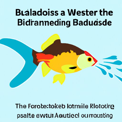 When to Euthanize a Fish with Swim Bladder Disease and Why