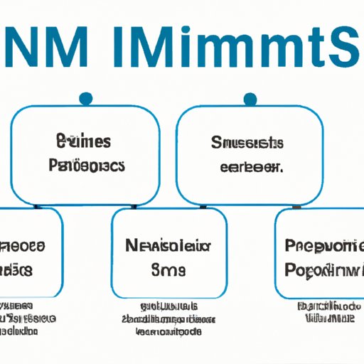 IV. NIMS Management Characteristics Simplified