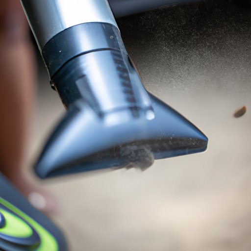 Using a Vacuum Cleaner to Capture Gnats