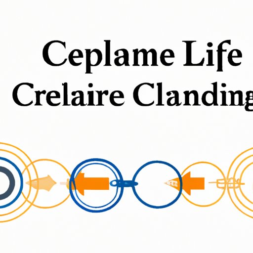 C. Overview of the Lifeline program