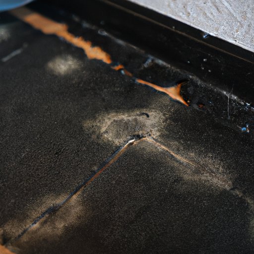 The Ins and Outs of DIY Black Mold Remediation