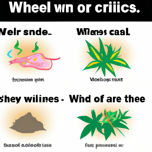 II. Causes of Weed Smell