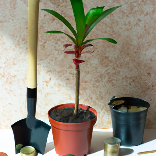 V. Top Tools for a Successful Money Tree Repotting