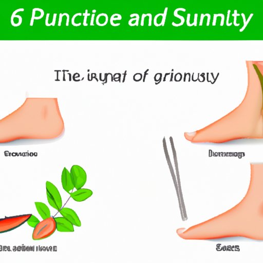 Section 6: Surgery vs. Natural Remedies for Bunion Treatment