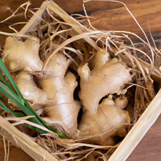Ginger Storage 101: Everything You Need to Know About Keeping it Fresh