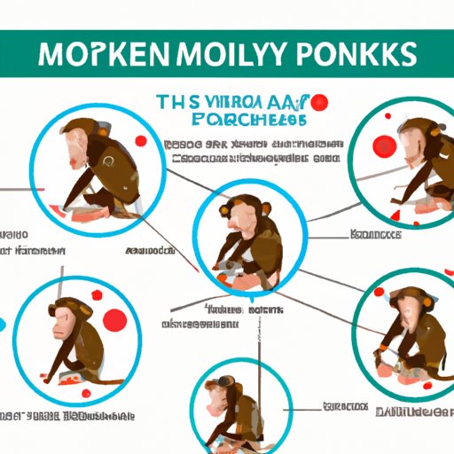 II. Overview of Monkeypox: A Guide to Causes and Symptoms