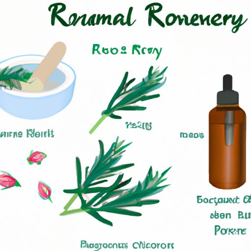 A Guide to Making Your Rosemary Oil Hair Tonic