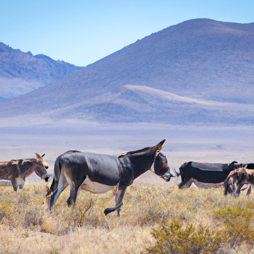 Experience the Magic of Watching 2000 Mules for Free: Expert Advice and Insider Tips