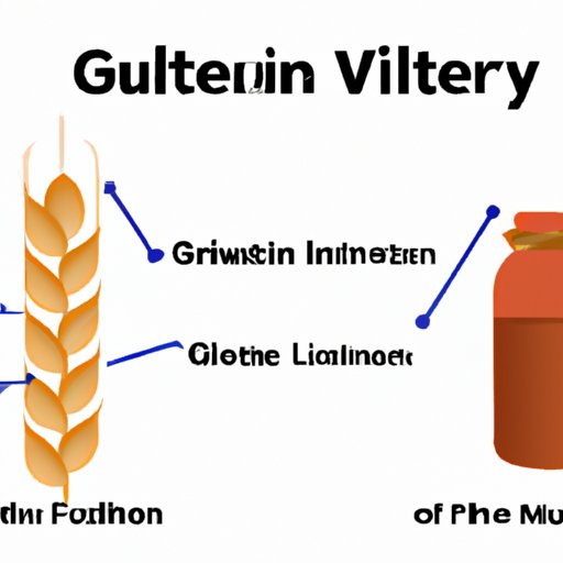 IV. The Connection Between Gluten and Inflammation in the Body and How Whey Protein Can Help