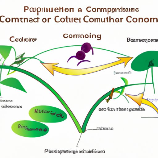 Biological Systems and the Cycle of Growth and Contraction