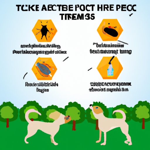 Pros and Cons of Different Flea and Tick Prevention Methods for Dogs