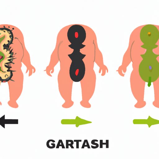 the-uninvited-connection-exploring-the-relationship-between-parasites