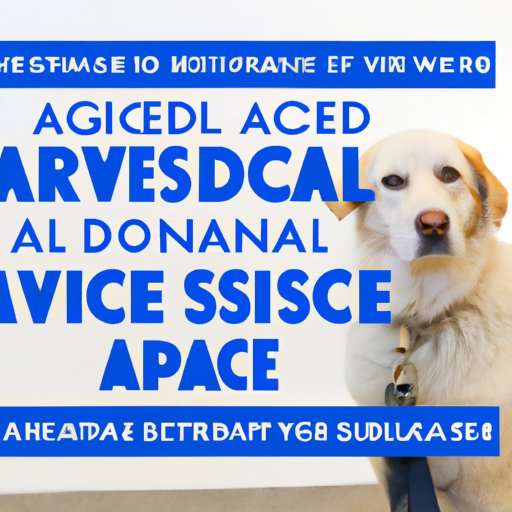 can-you-legally-ask-for-proof-of-service-dog-understanding-service-dog